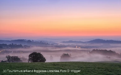 Morgennebel über der Landschaft, Foto D. Wigger