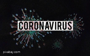 coronavirus-4923544_1920.jpg