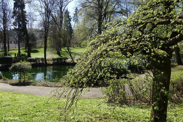 Der kleine Teich im Volkspark Meinerzhagen